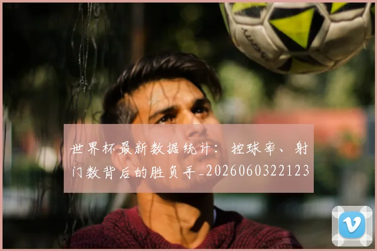 世界杯最新数据统计：控球率、射门数背后的胜负手_20260603221230