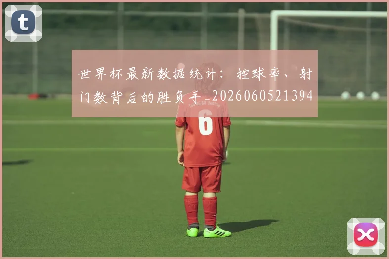 世界杯最新数据统计:控球率、射门数背后的胜负手_20260605213941