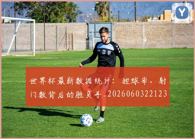 世界杯最新数据统计:控球率、射门数背后的胜负手_20260603221230